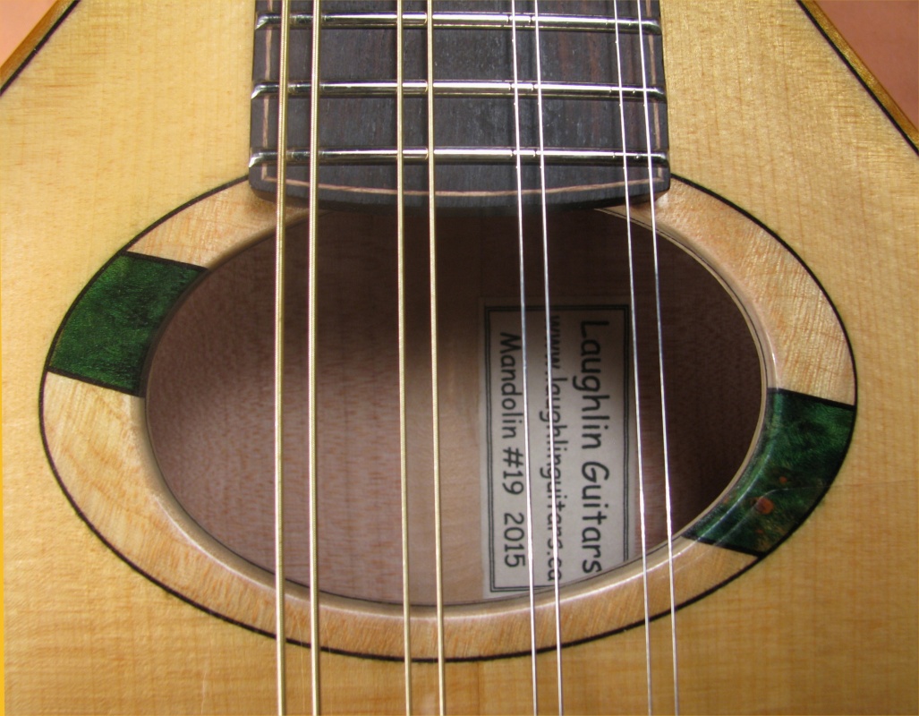 laughlin mandolin